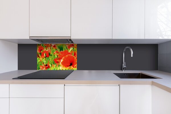DIMEX | Plexisklo za kuchynskú linku PGT-06040-028 | 60 x 40 cm Červené vlčie maky
