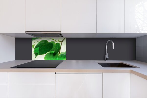 DIMEX | Plexisklo za kuchynskú linku PGT-06040-010 | 60 x 40 cm Zelené listy
