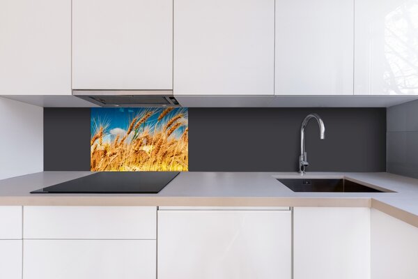 DIMEX | Plexisklo za kuchynskú linku PGT-06040-011 | 60 x 40 cm Pole pšenice