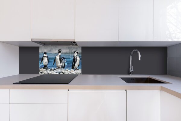 DIMEX | Plexisklo za kuchynskú linku PGT-06040-112 | 60 x 40 cm Tučniaky