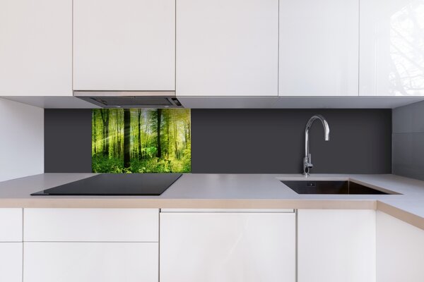 DIMEX | Plexisklo za kuchynskú linku PGT-06040-133 | 60 x 40 cm Svieži les