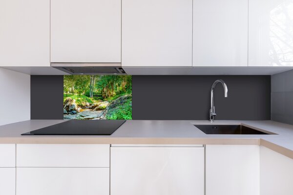 DIMEX | Plexisklo za kuchynskú linku PGT-06040-134 | 60 x 40 cm Botanická záhrada