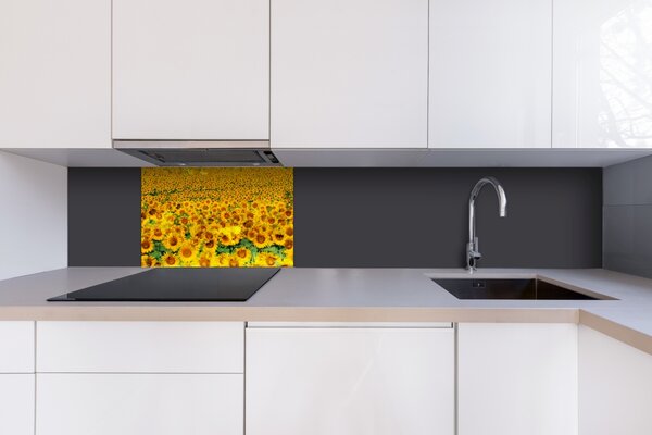 DIMEX | Plexisklo za kuchynskú linku PGT-06040-030 | 60 x 40 cm Lány slnečníc