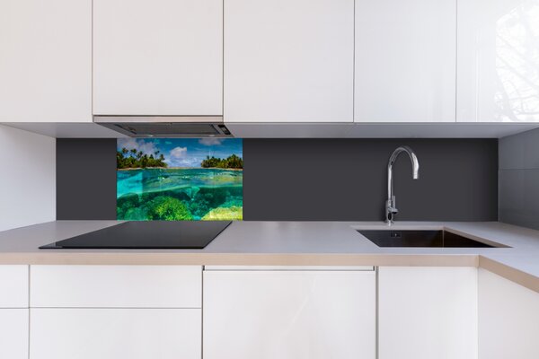 DIMEX | Plexisklo za kuchynskú linku PGT-06040-013 | 60 x 40 cm Koralový útes