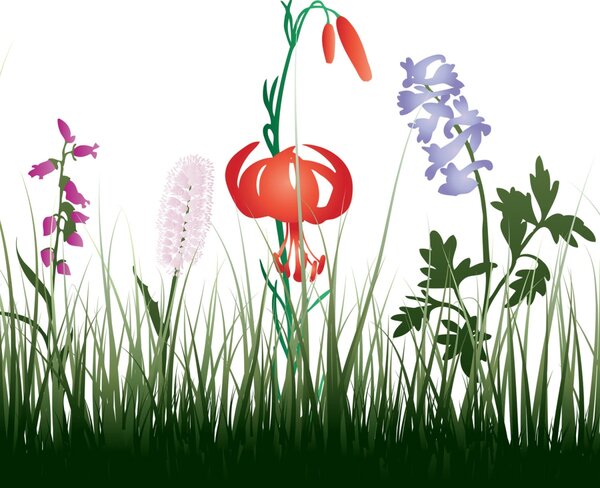 DIMEX | Plexisklo za kuchynskú linku PGT-06060-182 | 60 x 60 cm Lúčny dizajn