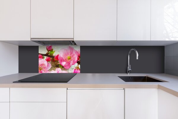 DIMEX | Plexisklo za kuchynskú linku PGT-06040-053 | 60 x 40 cm Sakura