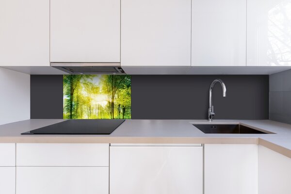 DIMEX | Plexisklo za kuchynskú linku PGT-06040-189 | 60 x 40 cm Svieži zelený les