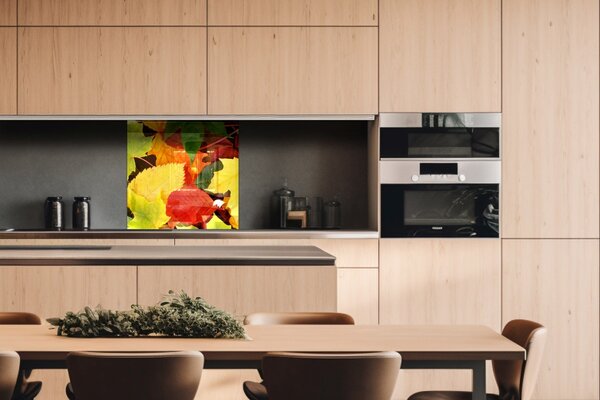DIMEX | Plexisklo za kuchynskú linku PGT-06060-027 | 60 x 60 cm Listy