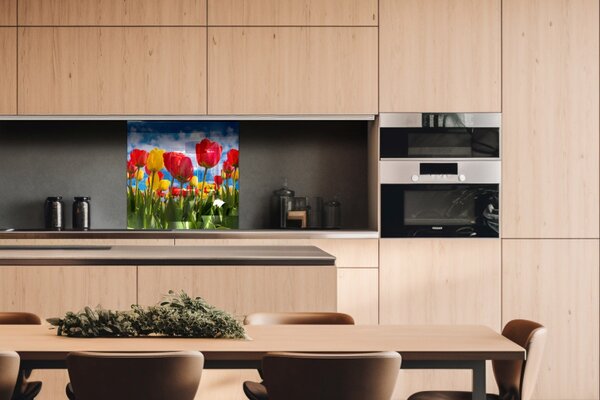 DIMEX | Plexisklo za kuchynskú linku PGT-06060-131 | 60 x 60 cm Pole tulipánov