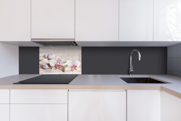 DIMEX | Plexisklo za kuchynskú linku PGT-06040-057 | 60 x 40 cm Záhrada Zen