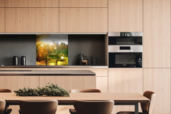 DIMEX | Plexisklo za kuchynskú linku PGT-06060-083 | 60 x 60 cm Lúka