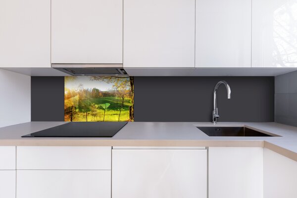 DIMEX | Plexisklo za kuchynskú linku PGT-06040-083 | 60 x 40 cm Lúka