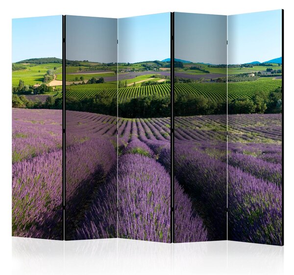 Artgeist Paraván - Lavender fields [Room Dividers]