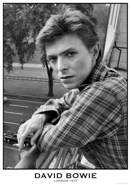 Plagát, Obraz - David Bowie - London 1977, (59.4 x 84.1 cm)