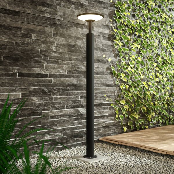 Lucande LED svetlo na chodník Fenia, 100 cm, antracit, IP65, Čierna, Hliník, Moderný, Osvetlenie príjazdovej cesty