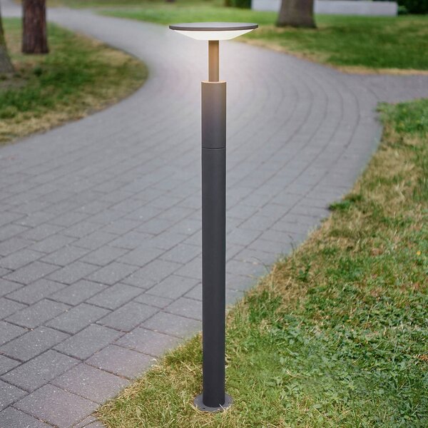 Lucande LED svetlo na chodník Fenia, 100 cm, antracit, IP65, Čierna, Hliník, Moderný, Osvetlenie príjazdovej cesty