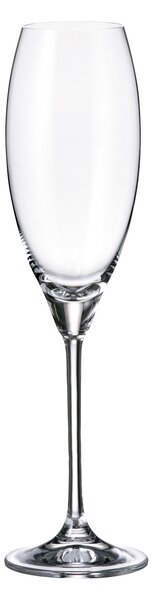 Crystalite Bohemia poháre na šampanské Carduelis 290 ml 6KS