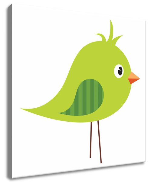 Obraz na plátne Zelený strapatý vtáčik Rozmery: 30 x 30 cm