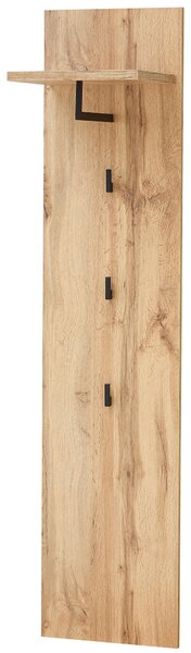 VEŠIAKOVÝ PANEL, farba duba, 35/153/30 cm Xora - Vešiakové steny, Online Only