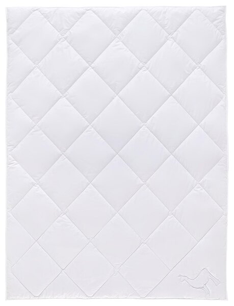 LETNÁ PRIKRÝVKA, 135/200 cm, vlna Sleeptex - Prikrývky & vankúše, Online Only