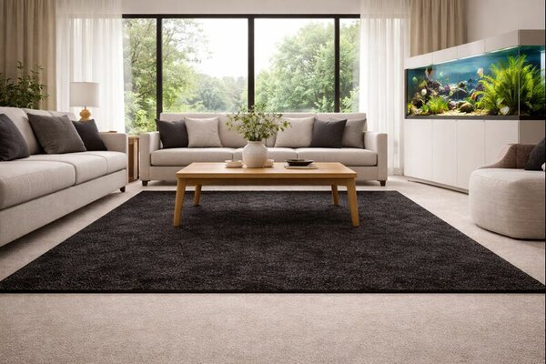 Vopi , AKCIA: 200x200 cm Kusový koberec Eton čierny 78 štvorec, čierna, chodba / predsieň