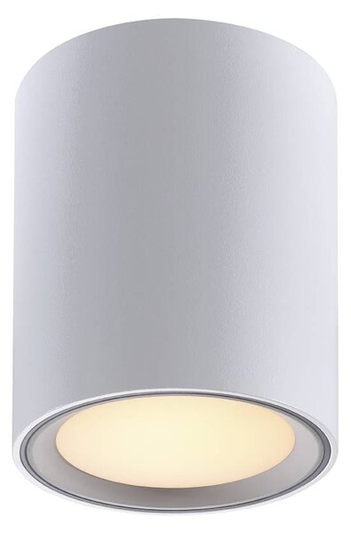 Nordlux FALLON 12 | stropné LED svietidlo s funkciou MOODMAKER Farba: Biela s kovovým krúžkom