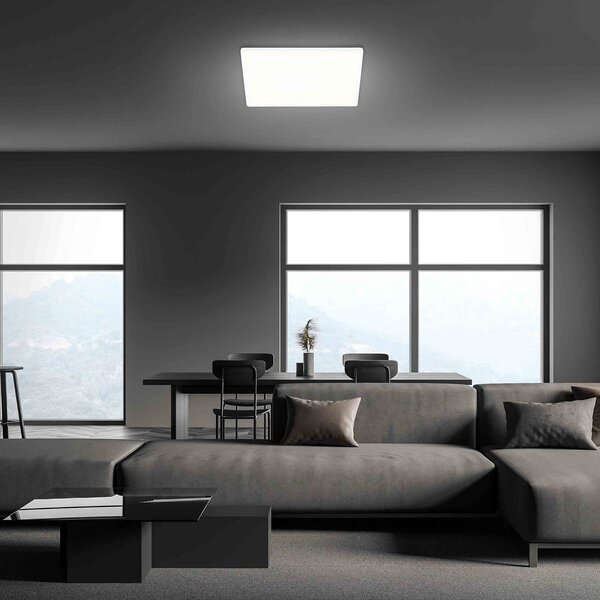 LED stropné svietidlo Slim, hranaté 42 x cm, Biela / opálová, Chodba, Plast, Moderný, Stropné svetlo
