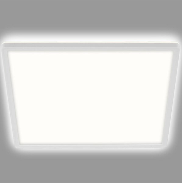 LED stropné svietidlo Slim, hranaté 42 x cm, Biela / opálová, Chodba, Plast, Moderný, Stropné svetlo