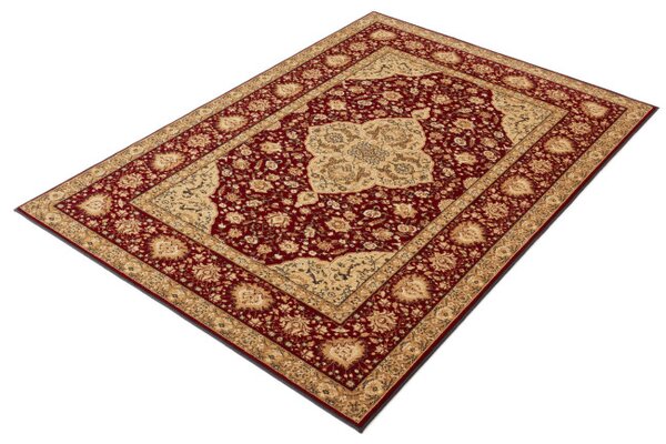 Koberec Agnella Standard Diktum Bordo