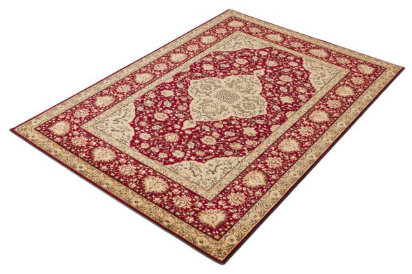 Koberec Agnella Standard Diktum Bordo