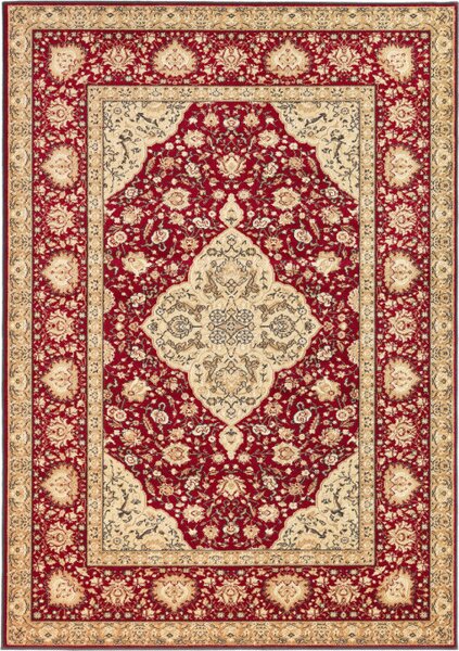 Koberec Agnella Standard Diktum Bordo