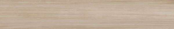 Amalfi Ferriere Faggio 20x120 R