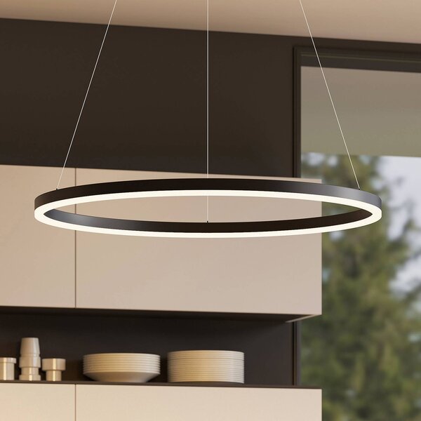 Arcchio LED závesné svietidlo Albiona, čierne, 1 krúžok, Ø 80 cm, Čierna, Kuchyňa, kov, Moderný, Závesné svietidlo