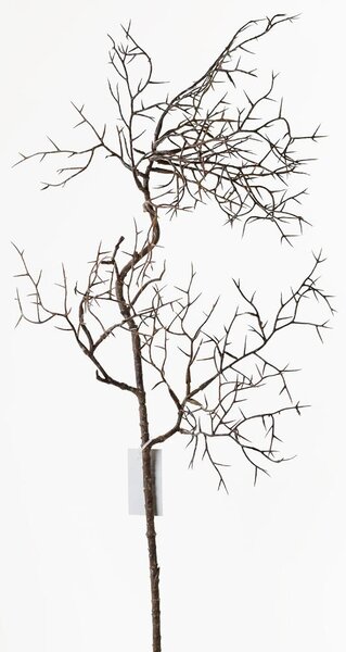 Umelý konár prírodný hnedý 63cm