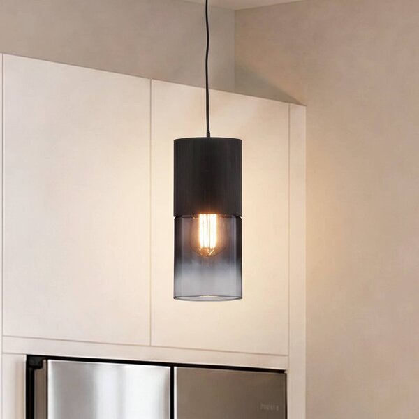 Trio Lighting Závesné svietidlo Robin pre DUOline, čierna/dymovo sivá, Čierna, Obývacia izba / jedáleň, kov, Moderný, Koľajnicový systém