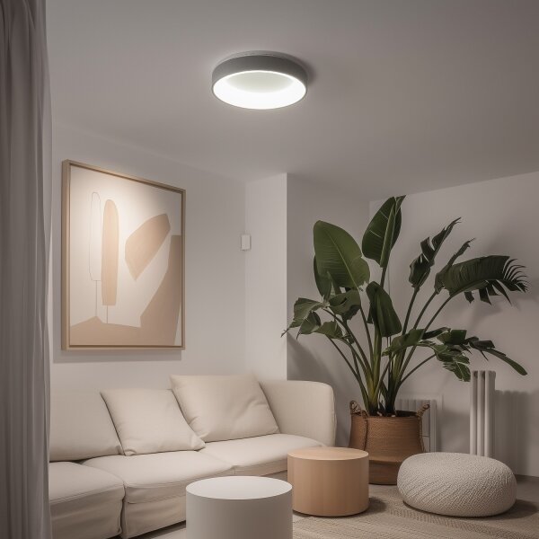 Brilagi - LED stmievateľné stropné svietidlo LED/40W/230V 3000-6500K sivá + DO