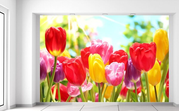 Fototapeta Žltý tulipán Materiál: Samolepiaca, Rozmery: 200 x 135 cm