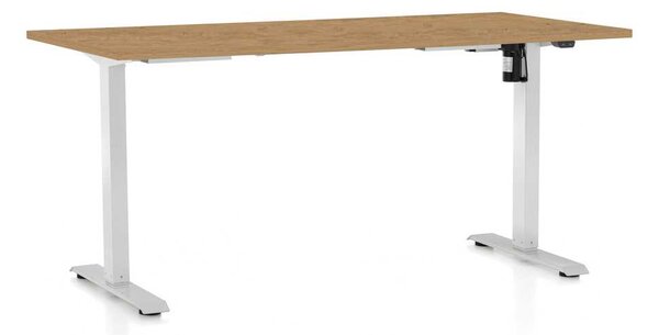 Výškovo nastaviteľný stôl OfficeTech A, 160 x 80 cm, biela podnož, dub kamenný