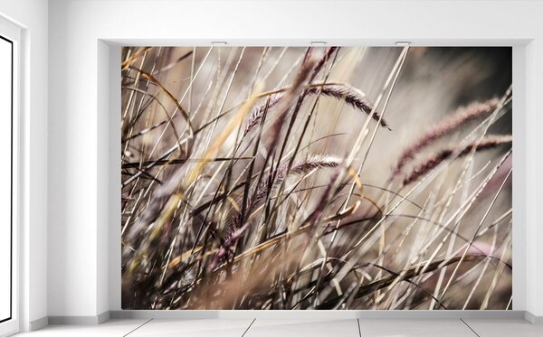 Gario Fototapeta V tráve - Nina Matthews Veľkosť: 200 x 135 cm, Materiál: Latexová