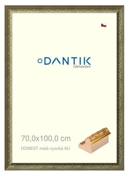 DANTIK rám na obraz 70x100 | HONEST malá vysoká AU (Plexi Čiré)