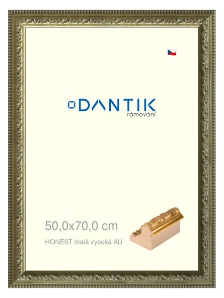 DANTIK rám na obraz 50x70 | HONEST malá vysoká AU (Plexi Čiré)