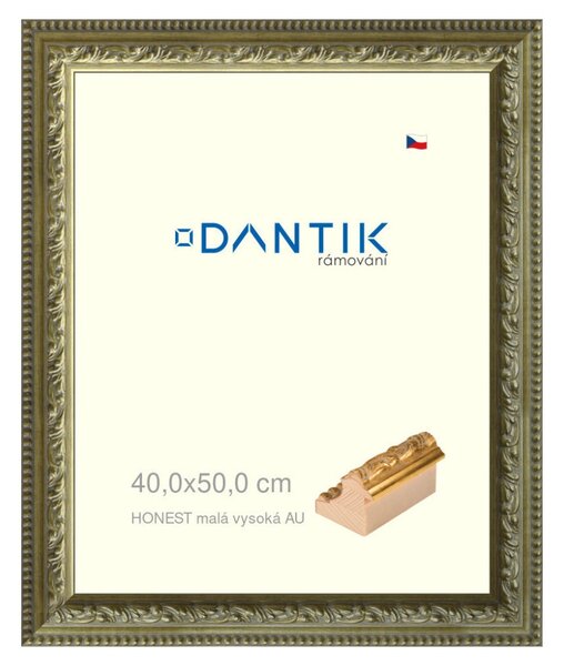 DANTIK rám na obraz 40x50 | HONEST malá vysoká AU (Plexi Čiré)