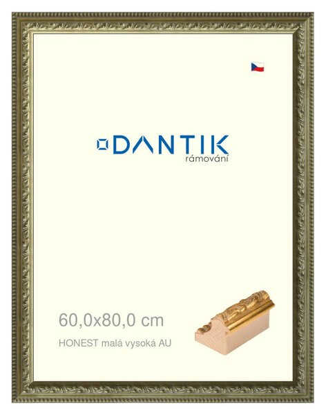 DANTIK rám na obraz 60x80 | HONEST malá vysoká AU (Plexi Čiré)