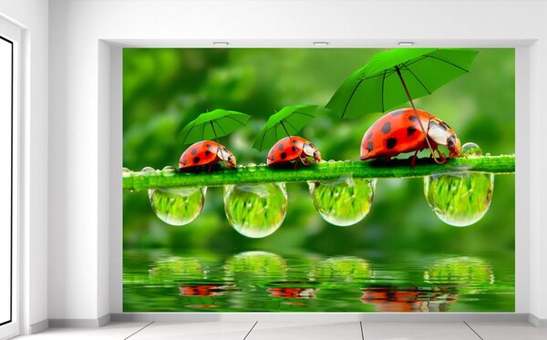 Fototapeta Lienky s dáždnikmi Materiál: Samolepiaca, Veľkosť: 368 x 248 cm