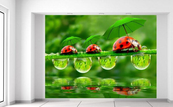 Fototapeta Lienky s dáždnikmi Materiál: Samolepiaca, Veľkosť: 200 x 150 cm