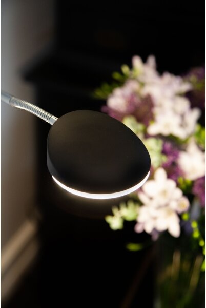Halo Design 716067- LED stmievateľná stojacia lampa VEGAS LED/20W/230V + LED/5W čierna/chróm