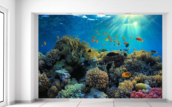 Gario Fototapeta Krásny korálový útes Veľkosť: 200 x 135 cm, Materiál: Latexová