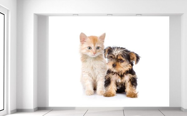 Gario Fototapeta Roztomilý psík a mačička Veľkosť: 200 x 150 cm, Materiál: Latexová