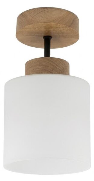 BRILAGI - LED Prisadený luster RETRO GLASS 1xE27/60W/230V pr. 10 cm dub/biela