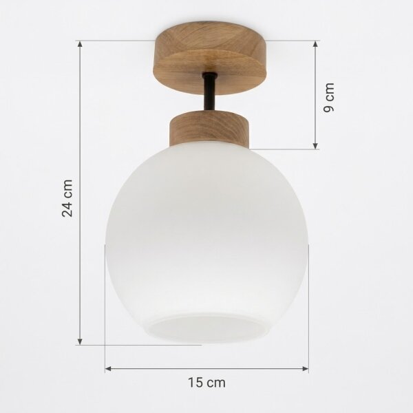 BRILAGI - LED prisadený luster RETRO GLASS 1xE27/60W/230V pr. 15 cm dub/biela